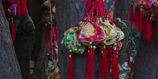 装满许愿袋的许愿树在成都，中国四川。丝制的小装饰包(字的意思)。人们希望好运和健康。
