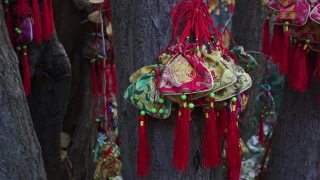 装满许愿袋的许愿树在成都，中国四川。丝制的小装饰包(字的意思)。人们希望好运和健康。视频素材模板下载