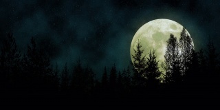 在一个星光灿烂的夜晚，一轮满月从森林的剪影后面缓缓升起
