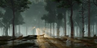 神奇的萤火虫灯光在朦胧的夜晚森林沼泽3D动画