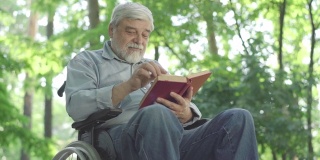 下角视角，吸收残疾人老人看书和微笑。聪明的残疾人白种退休人员在阳光明媚的夏日公园里与文学一起休息。