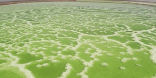 绿色盐湖，天然湖泊背景。