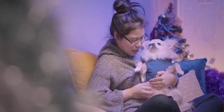 年轻的亚洲迷人的女性女人玩他的大腿狗在客厅的沙发周末假日活动圣诞节日概念