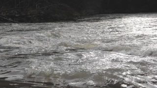 水流湍急的浅河的水流视频素材模板下载
