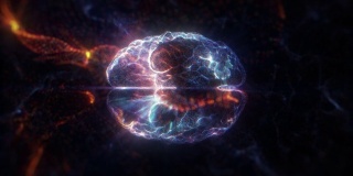 人类大脑全息图