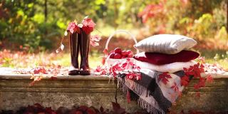 秋天天气暖和。印度的夏天。在花园里野餐——在秋叶的背景上，灰色、紫红色和绿色的毯子和枕头。有选择性的重点。