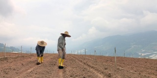 亚洲男性农民在山上用锄头挖土
