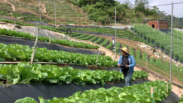 亚洲微笑的男性农民使用数字平板电脑检查他的有机农场增长