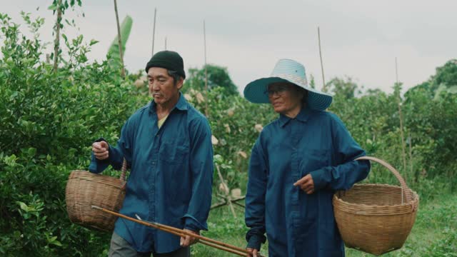 夫妻一起种地，一起生活