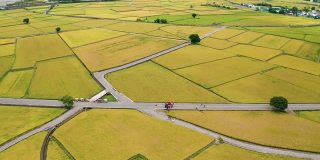 鸟瞰图美丽的稻田和布朗大道，赤上乡，台东县，台湾秋天