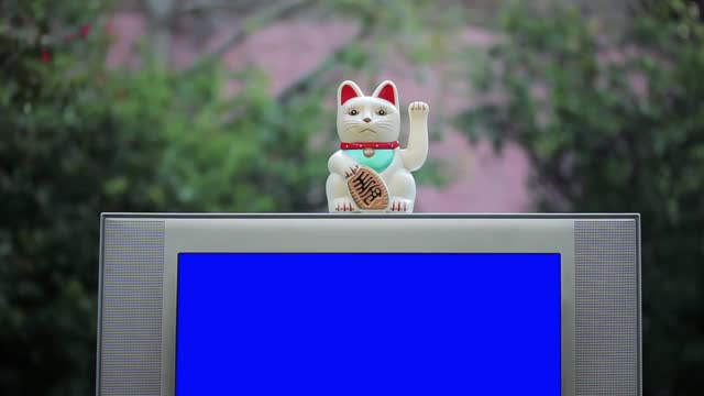 猫神猫幸运猫和老电视与蓝屏。