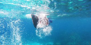 4K年轻人自由潜水穿着碳纤维长鳍潜水探索清澈的海水珊瑚礁在海洋