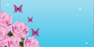粉红玫瑰与蝴蝶的动画