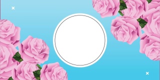 粉红色玫瑰花与圆形框架动画