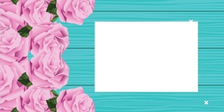 粉色玫瑰花与方形框架在木背景动画
