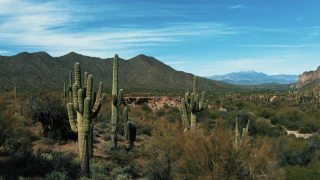 在一个阳光明媚的日子里，美国亚利桑那州乌塞里山地区公园和失落的荷兰人州立公园，用4k无人机拍摄索诺拉沙漠与仙人掌和山脉视频素材模板下载