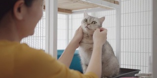 一名亚洲妇女在猫咪收养中心的笼子里抚摸着一只可爱的小猫