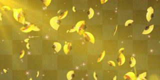 金色日本折扇颗粒循环动画