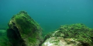 贝加尔湖的水底。