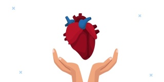 世界心脏日动画用手举器官