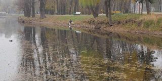 池塘在秋天的公园里，黄叶在水面上，树木沿着小路。岸边的一位渔夫正在湖里钓鱼。这个人正在欣赏秋天的风景。