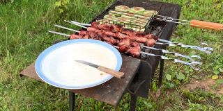 在烤架上烹煮肉类和蔬菜，诱人的烤猪肉串串在烤肉串上烹调，在夏天露天，煤烟正在冒烟，烤肉串烧烤派对