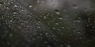 雨雪中的水滴顺着玻璃流下。下雨时汽车的挡风玻璃由内而外。