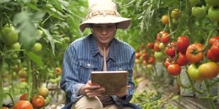 年轻的亚洲女农民站在温室里自信地看着镜头