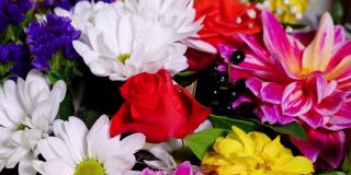 旋转着美丽鲜艳的菊花和玫瑰花束。给女人最好的礼物。