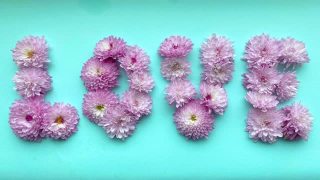 定格动画中，粉色菊花的“爱”一词出现在精致的蓝色背景上，然后消失。视频素材模板下载