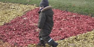 穿着工装裤的男孩在铺满彩色锯末的花坛上玩耍