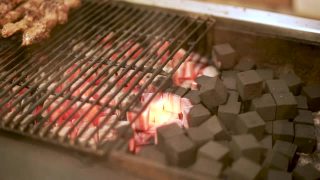沙嗲肉和鸡肉在热炭上烤视频素材模板下载