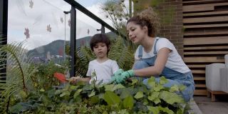 快乐的拉丁美洲母亲教她的儿子如何照顾植物在他们的城市花园