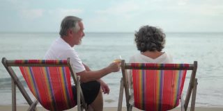 后视图老年人夫妇坐在海滩上欢呼香槟
