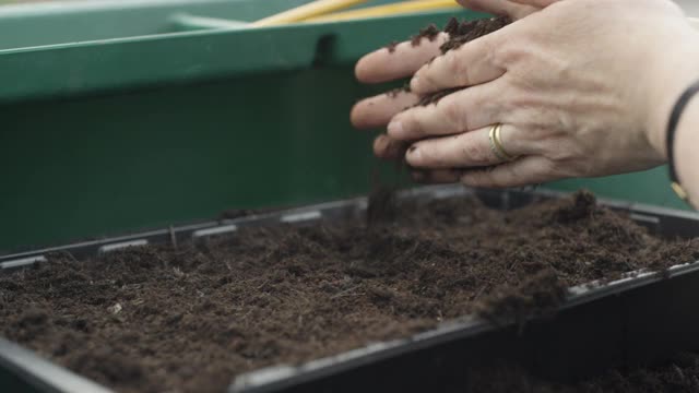 人们在社区菜园种植蔬菜