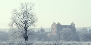 在一个霜冻的清晨，田野上一棵结着霜和雪的树被太阳照亮了