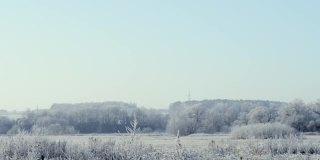 远处草木结了冰的田野被霜和雪覆盖着，在霜冻的清晨被太阳照亮。空气中有霜冻的薄雾。