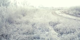 在一个霜冻的清晨，田野上一棵结着霜和雪的树被太阳照亮了