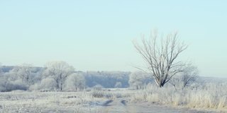 远处草木结了冰的田野被霜和雪覆盖着，在霜冻的清晨被太阳照亮。空气中有霜冻的薄雾。