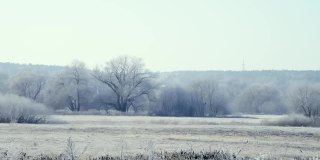 远处草木结了冰的田野被霜和雪覆盖着，在霜冻的清晨被太阳照亮。空气中有霜冻的薄雾。