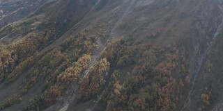 橙色秋天的森林，从山谷斜坡上方的无人机飞行。山腰上的金字塔对抗雪崩。雪坝在山坡上五颜六色的树木之间。
