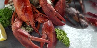 4K超高清:近距离缩放加拿大龙虾和小龙虾在黑色背景与冻结的冰烟。新鲜豪华海鲜和菜单食谱零售市场概念。