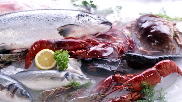 4K超高清多莉向后:各种豪华新鲜海鲜，龙虾鲑鱼鲭小龙虾虾章鱼贻贝和扇贝，在冰背景与冰冻的冰烟。鲜冻海鲜和零售市场概念。