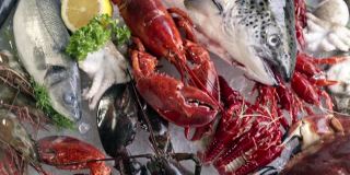 4K超高清倾斜下:各种豪华新鲜海鲜，龙虾鲑鱼鲭小龙虾虾章鱼贻贝和扇贝，在冰背景与冰冻的冰烟。鲜冻海鲜和零售市场概念。