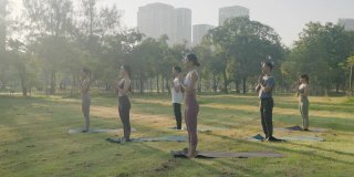 六人组混合年龄的人在城市的公共公园里做瑜伽姿势叫勇士1姿势，以健身、运动、瑜伽和健康的生活方式理念