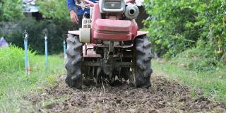 在种植园中控制双轮拖拉机在土壤上犁地的农民