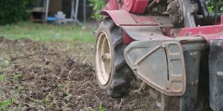 在种植园中控制双轮拖拉机在土壤上犁地的农民