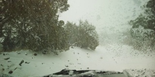 科罗拉多州落基山脉的冬季暴风雪从车内4K系列视频
