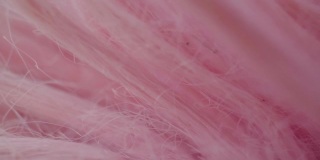 多莉拍摄微距:抽象的粉色羽毛特写微距。