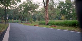 背部的亚洲运动女子是慢跑的道路在绿色公园傍晚的灯光